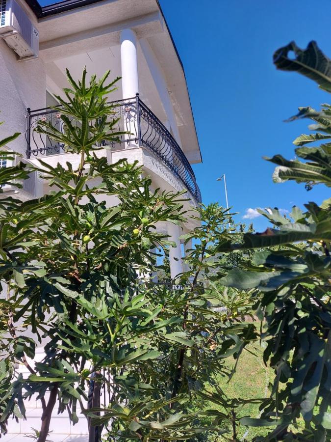 דמיר קאפייה Villa Bratislava מראה חיצוני תמונה