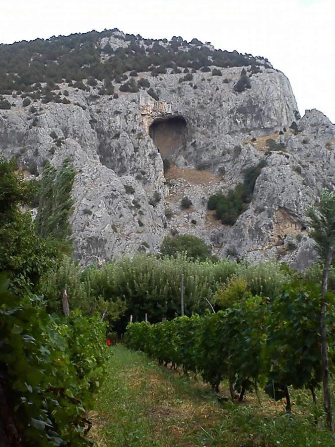 דמיר קאפייה Villa Bratislava מראה חיצוני תמונה